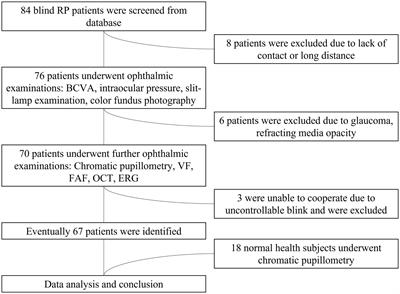 Chromatic pupillometry isolation and evaluation of intrinsically photosensitive retinal ganglion cell-driven pupillary light response in patients with retinitis pigmentosa